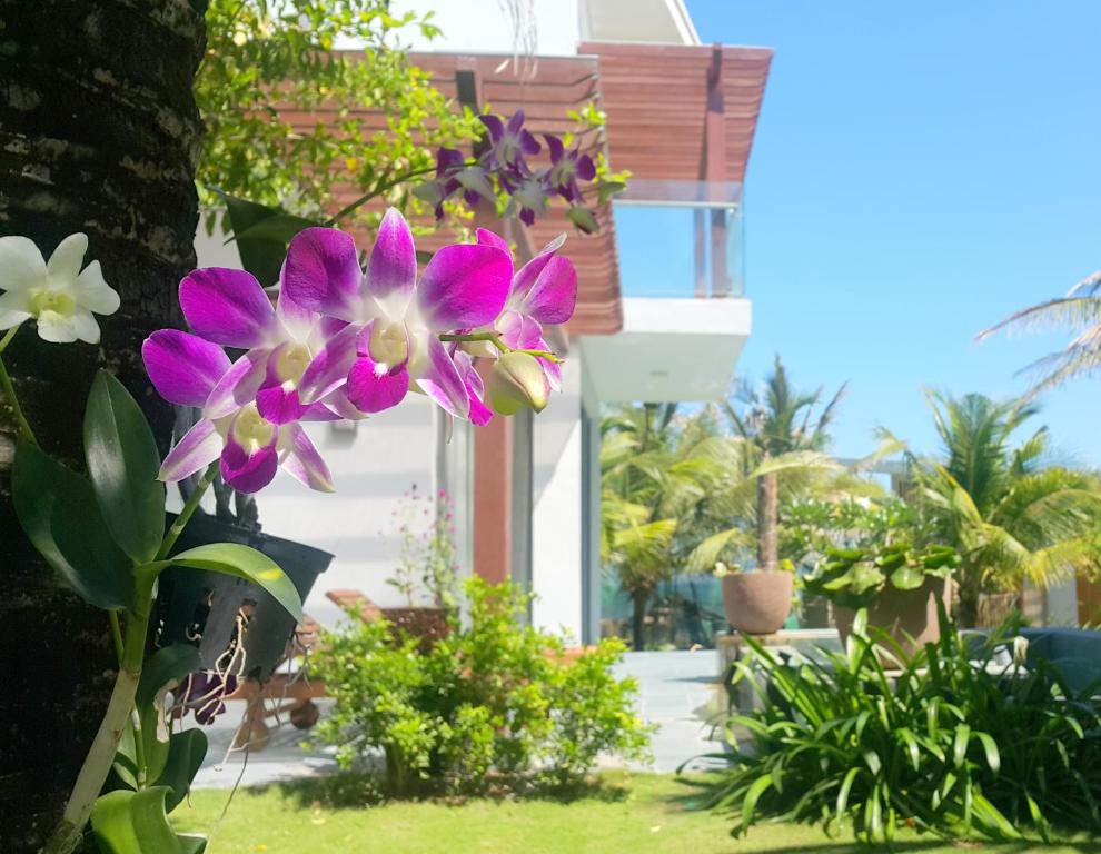 Sonata Resort & Spa - 18