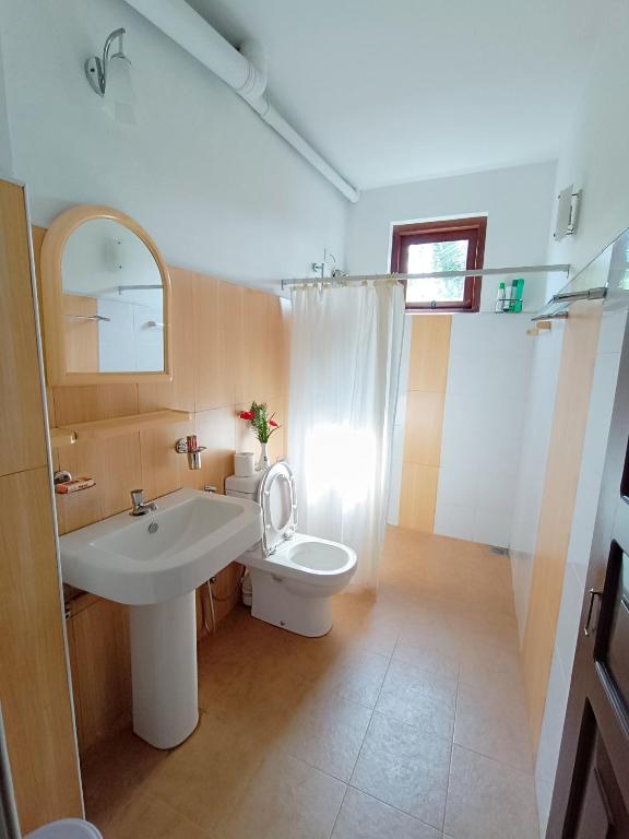 Koupelna v ubytování Shalom