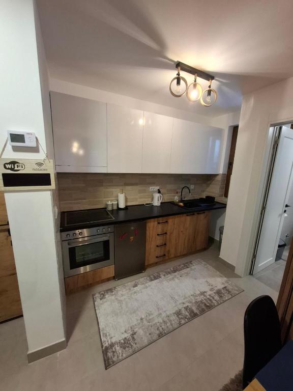 Kuchyň nebo kuchyňský kout v ubytování Apartman Nina Divcinova