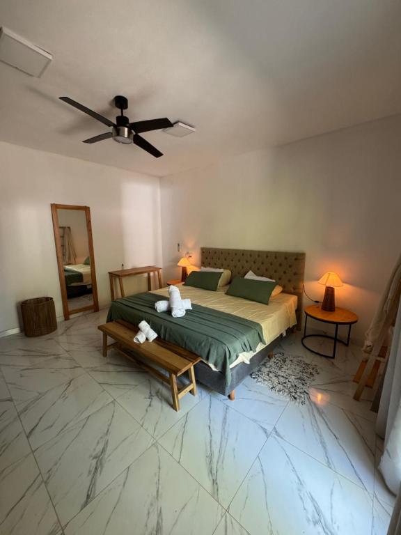 ein Schlafzimmer mit einem Bett und einem Deckenventilator in der Unterkunft Finca Anna Clara Vuelta la Barranca Santiago del Estero in Cardozos