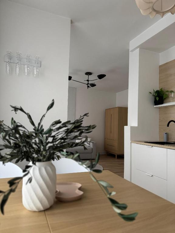 Kuchyň nebo kuchyňský kout v ubytování ApartNaest - vollausgestattete Apartments I kostenlos parken I flexibler Check-in I 1 bis 4 Zimmer I 1 bis 10 Personen