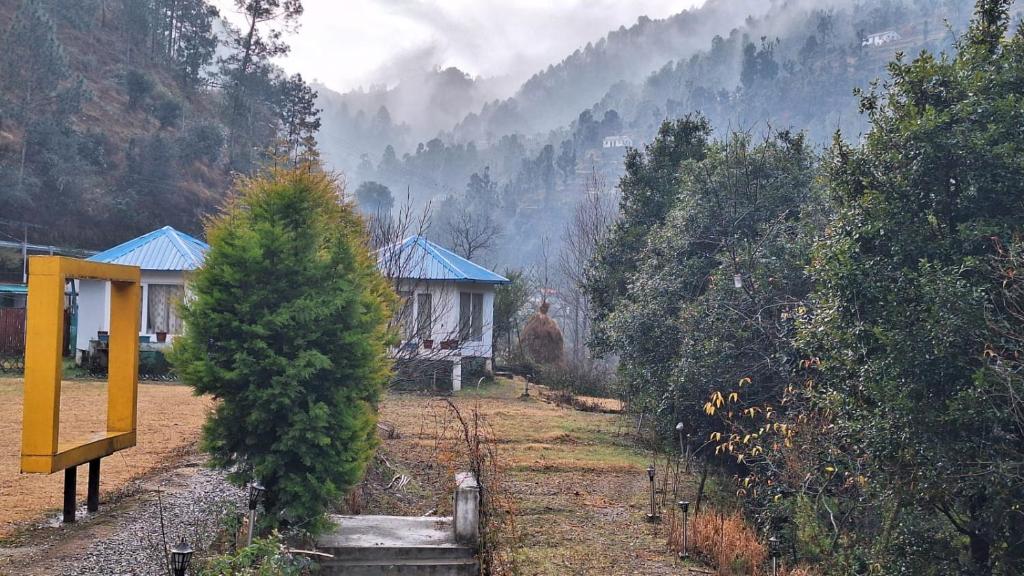 une maison et un pin dans un champ dans l'établissement Blossom Bliss Resort, à Bhimtal