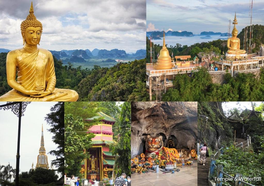 The Pineapple Hotel - Resim 17