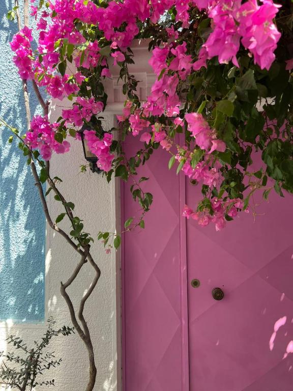 a bunch of pink flowers in front of a door at Casa Magnolia Boutique Rooms in Kuşadası