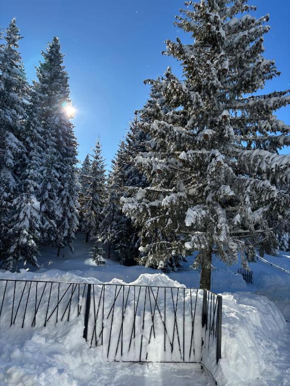 a fence covered in snow in front of trees at Harmony Peak Jahorina in Jahorina