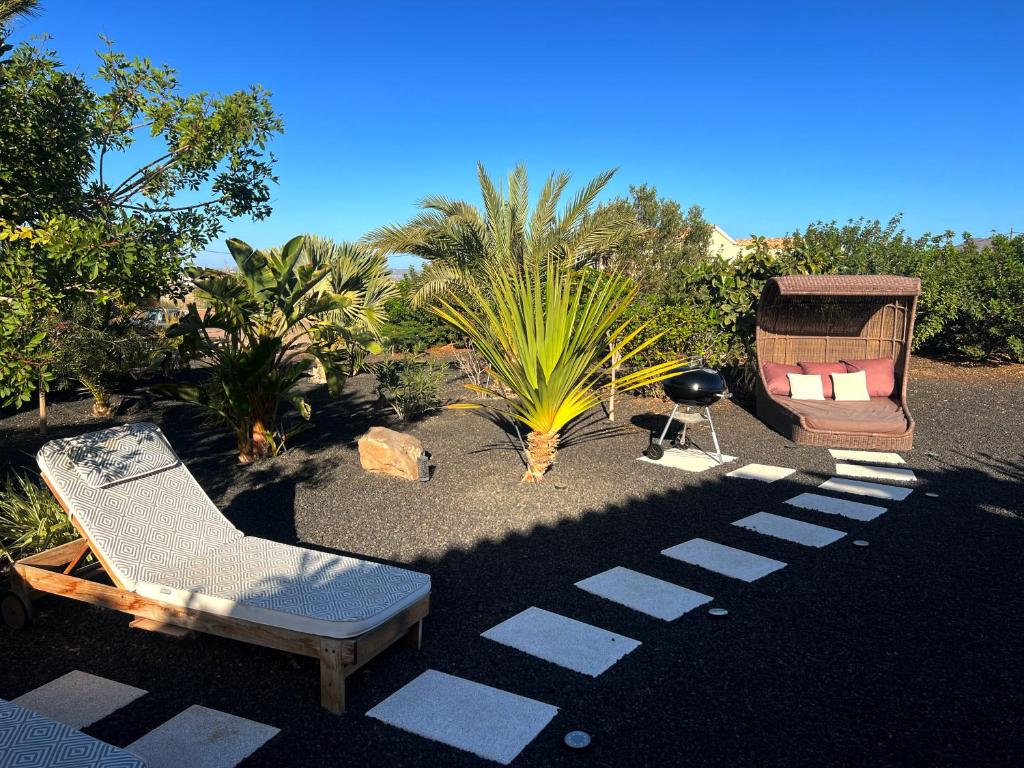 a patio with a chaise lounge and a palm tree at Casa Alexis - La Fuentita in Tuineje