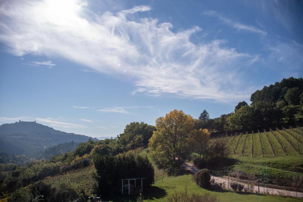 Paisagem natural perto do apart-hotel