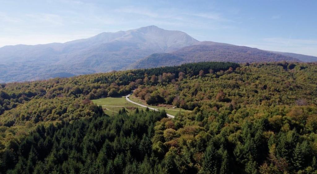 Φωτογραφία από το άλμπουμ του Villa Cherry Strazhe σε Hani i Elezit