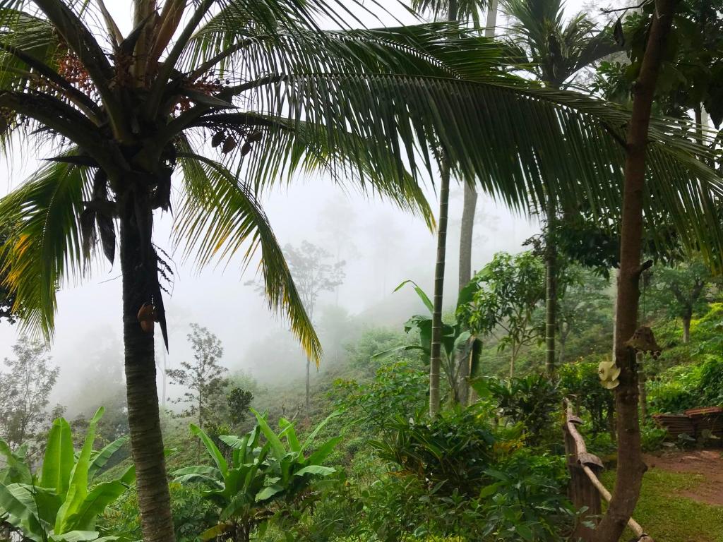 The 1964 Holiday bungalow - 13