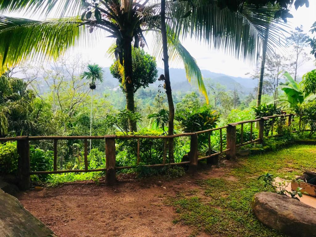 The 1964 Holiday bungalow - 14