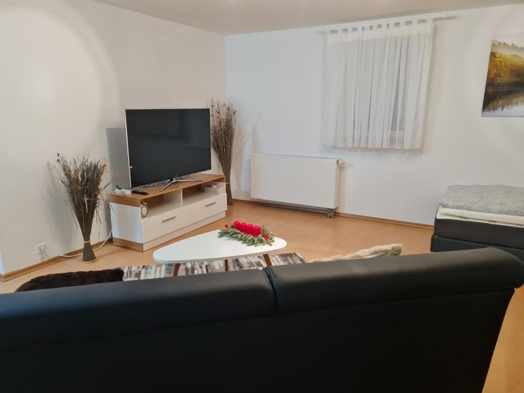 TV a/nebo společenská místnost v ubytování Waldr Apart Souterrain