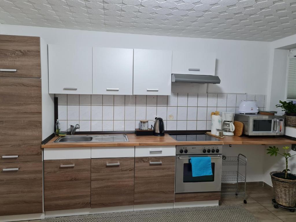 Kuchyň nebo kuchyňský kout v ubytování Waldr Apart Souterrain