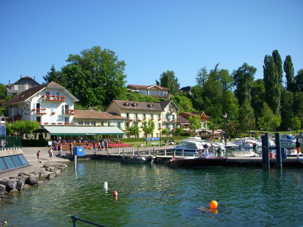 a marina with swans in the water and buildings at Hôtel Le Jules Verne in Yvoire