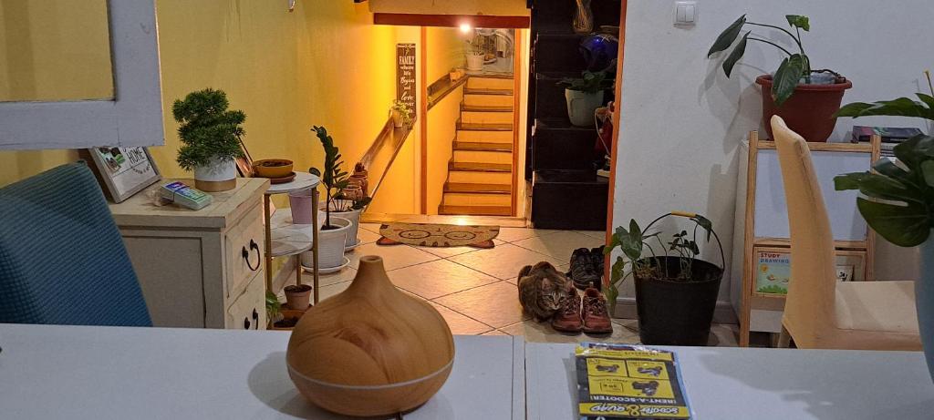 Fotografie z fotogalerie ubytování Mendes Family Homestay - B&B In The Heart Of Praia v destinaci Praia