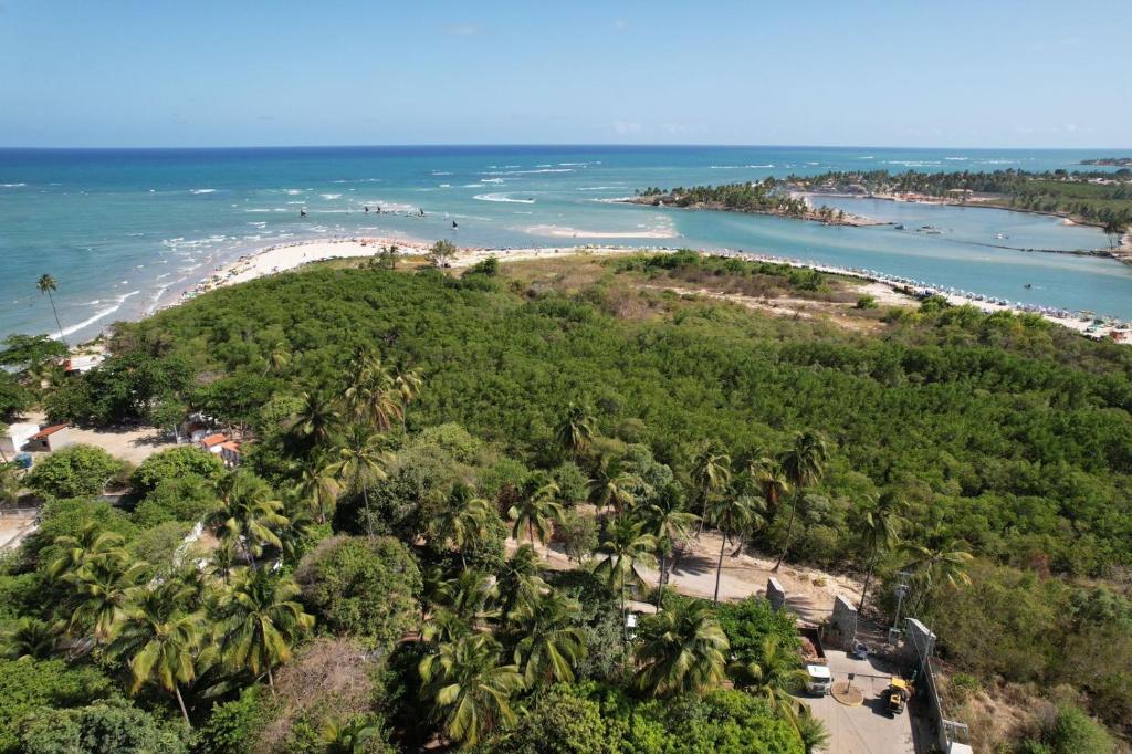 an aerial view of a beach with palm trees at Studio Céu Azul, Pontal de Maracaípe PE in Porto De Galinhas