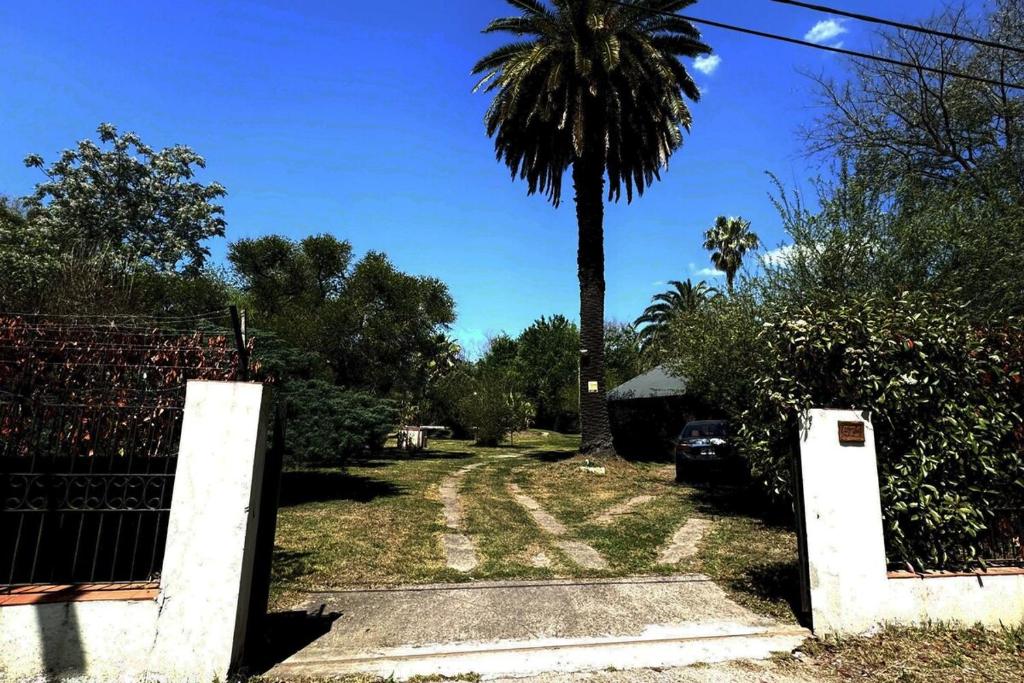 a driveway with a palm tree and a gate at La casa quinta de Camino in Gualeguaychú