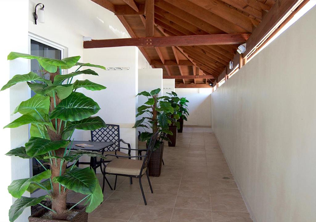 Balkón nebo terasa v ubytování Yoyita Suites Aruba