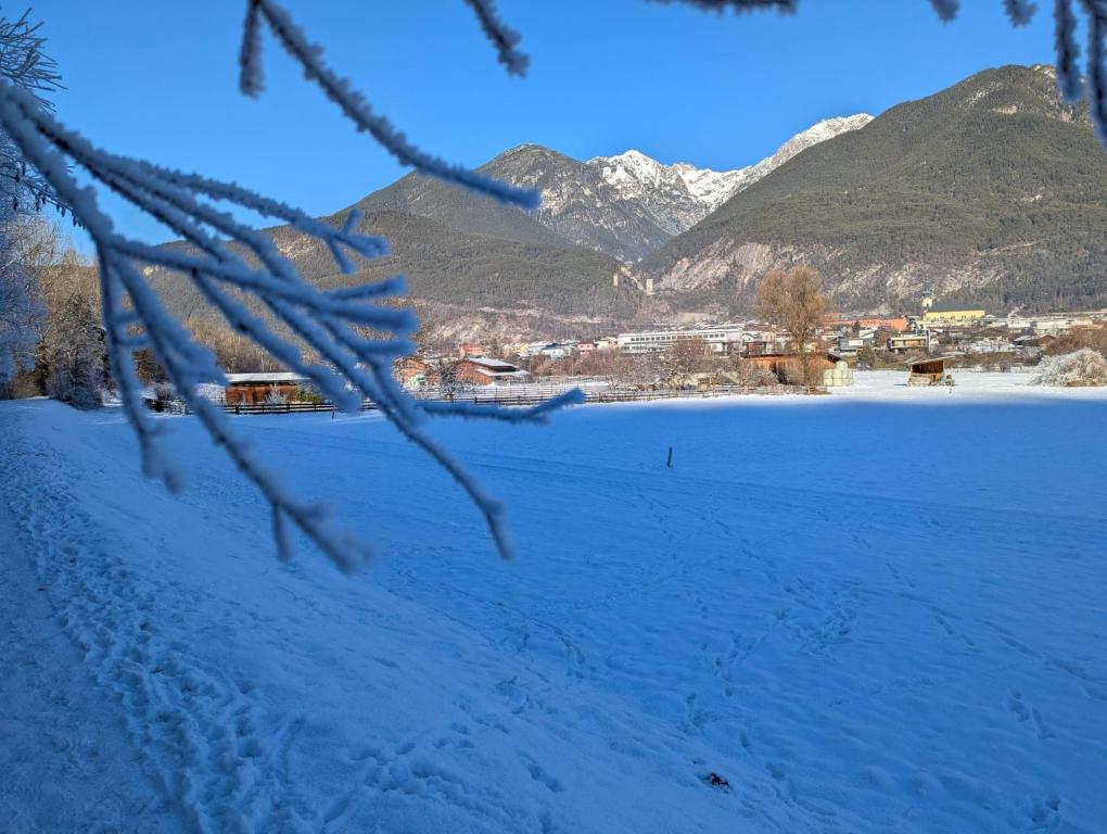 Příroda nedaleko apartmánu