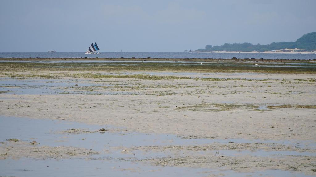 a sandy beach with a boat in the water at Mola2 Resort Gili Air in Gili Islands