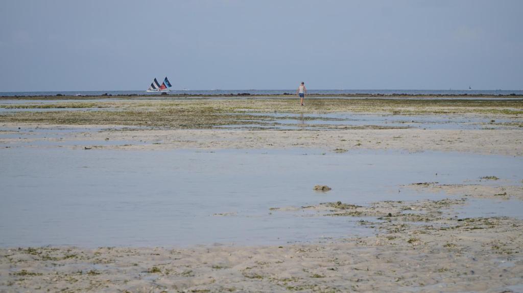a beach with some water and a plane in the distance at Mola2 Resort Gili Air in Gili Islands
