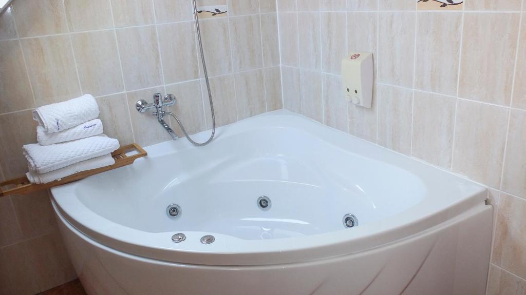 Koupelna v ubytování Camere de inchiriat Cascada