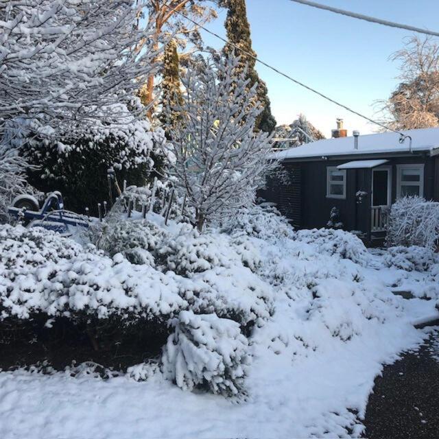 a yard covered in snow in front of a house at Maisie's Cottage in Mount Victoria