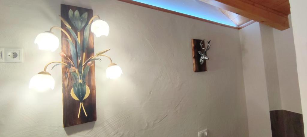 Fotografie z fotogalerie ubytování Hawis Apartments by Hermann Weiss v Maishofenu