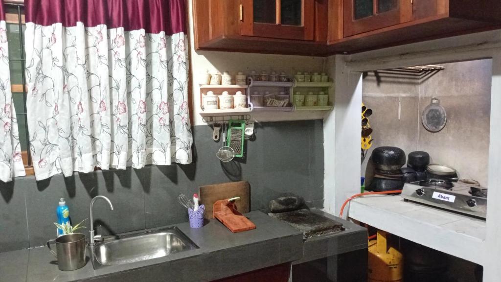 Kuchyň nebo kuchyňský kout v ubytování EcoBliss Villa