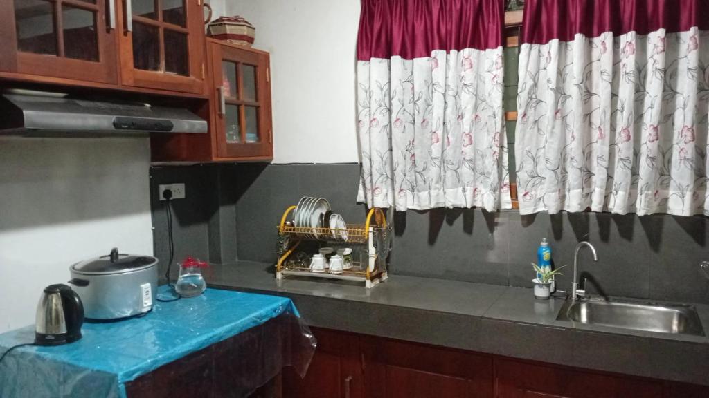 Kuchyň nebo kuchyňský kout v ubytování EcoBliss Villa