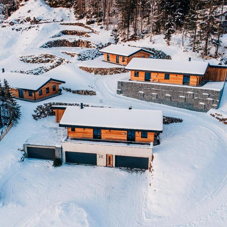 a group of cabins in the snow at Alpenflair-Chalets-Balderschwang in Balderschwang