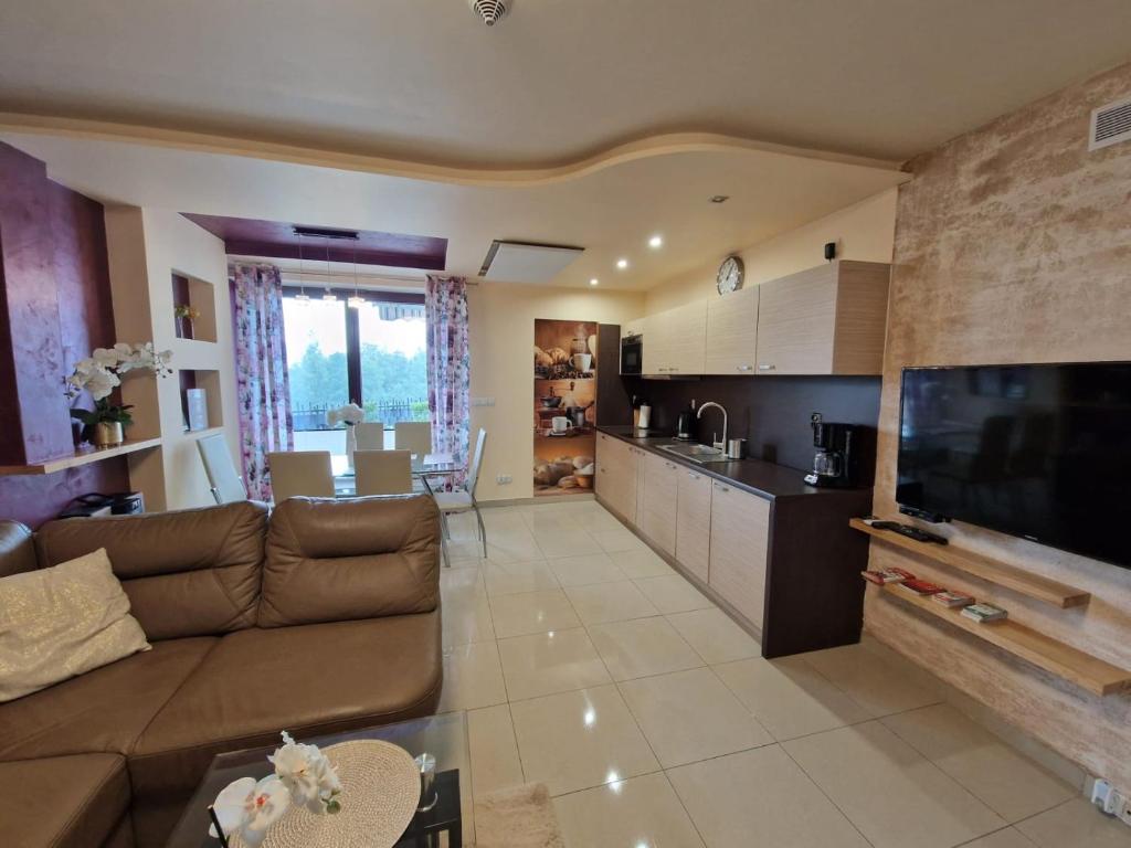 Televízia a/alebo spoločenská miestnosť v ubytovaní BUTOROWY RESIDENCE Apartament "GÓRSKA ORCHIDEA"