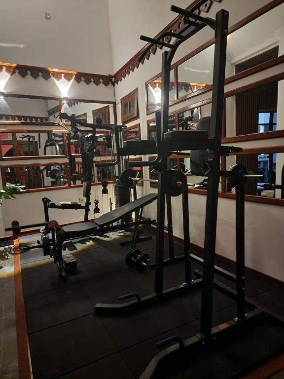 Fitness centrum a/nebo fitness zařízení v ubytování Domore Lifestyle