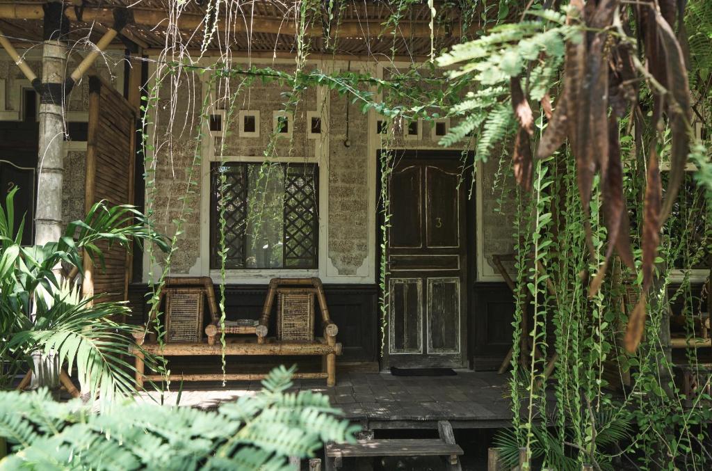 Zahrada ubytování Lost Paradise Gili