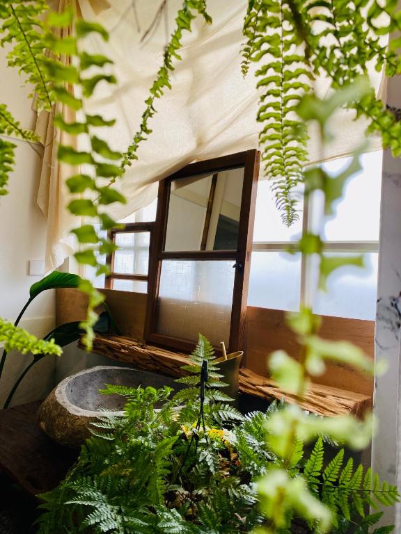 a room with a window and some plants at HomeOne36 后灣灣inn - 勝利星村日式老屋包棟 - in Pingtung City