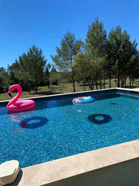 - une piscine avec deux flamants gonflables dans l'eau dans l'établissement Le Mazet de Papi en Garrigue, à Saint-Gervasy