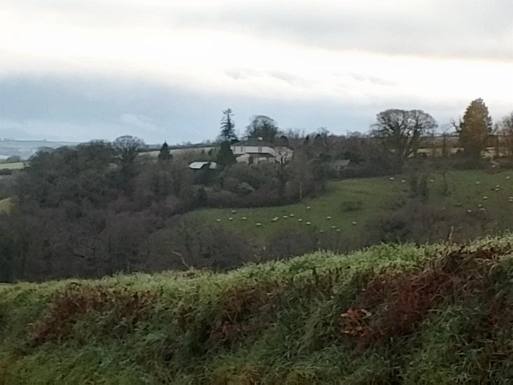 Příroda nedaleko prázdninového domu