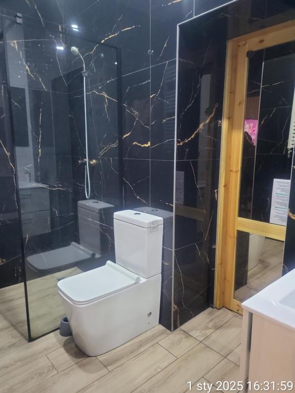 Kúpeľňa v ubytovaní Apartamenty Premium PRETTY WOMAN self check-in 24h - Bytom Chorzów Katowice