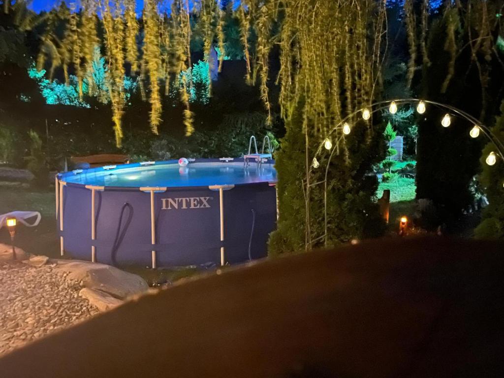 una piscina illuminata in un parco di notte di Coliba Padurarului a Porumbacu de Jos