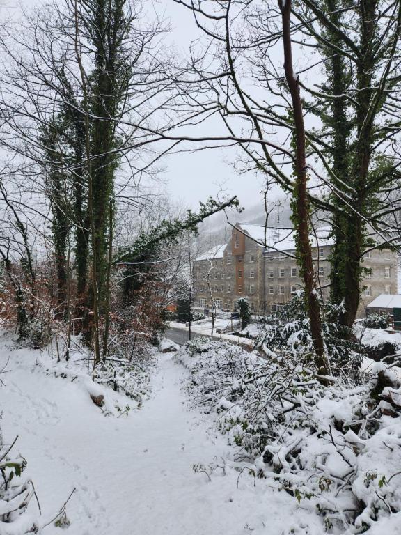 Rock Mill Retreat v zimě