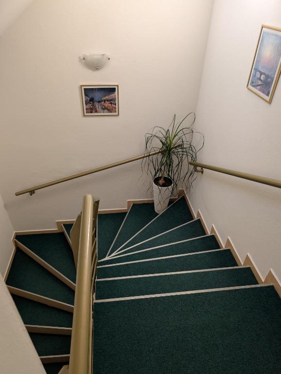 Fotografie z fotogalerie ubytování Apartmany u Denyho v Zuberci