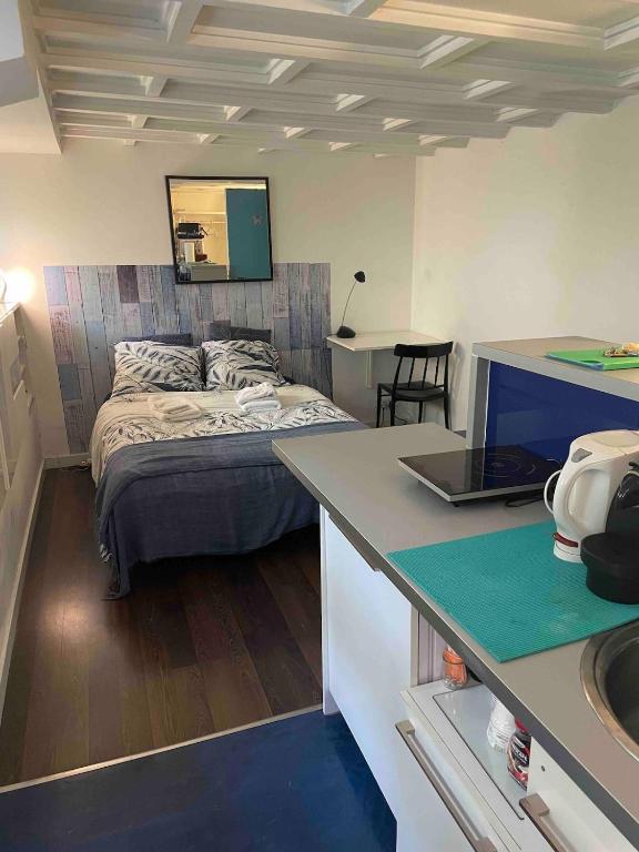 Hotel Charming Studio on House Boat, a room with a bed and a kitchen with a sink at Charming Studio on House Boat in Neuilly-sur-Seine