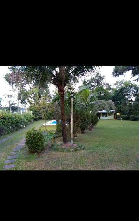 グアピミリムにあるSítio Caminho de Fátimaの畑のヤシの木がある公園