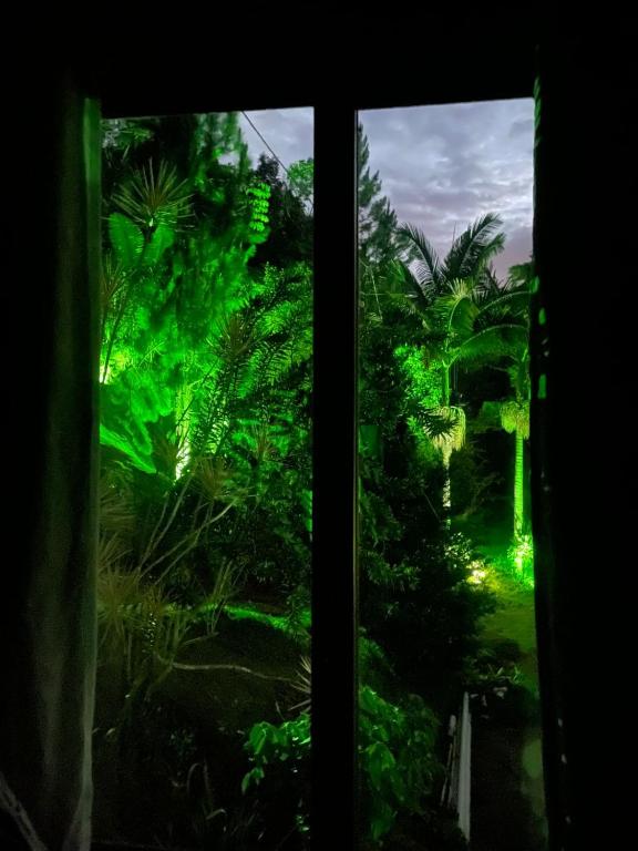Um jardim no exterior de Brandt Huss