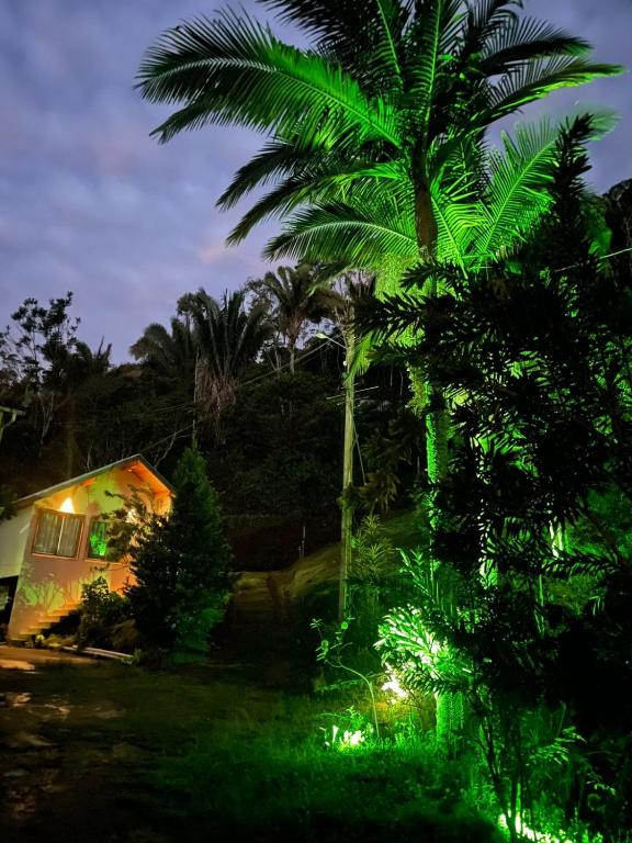 Um jardim no exterior de Brandt Huss