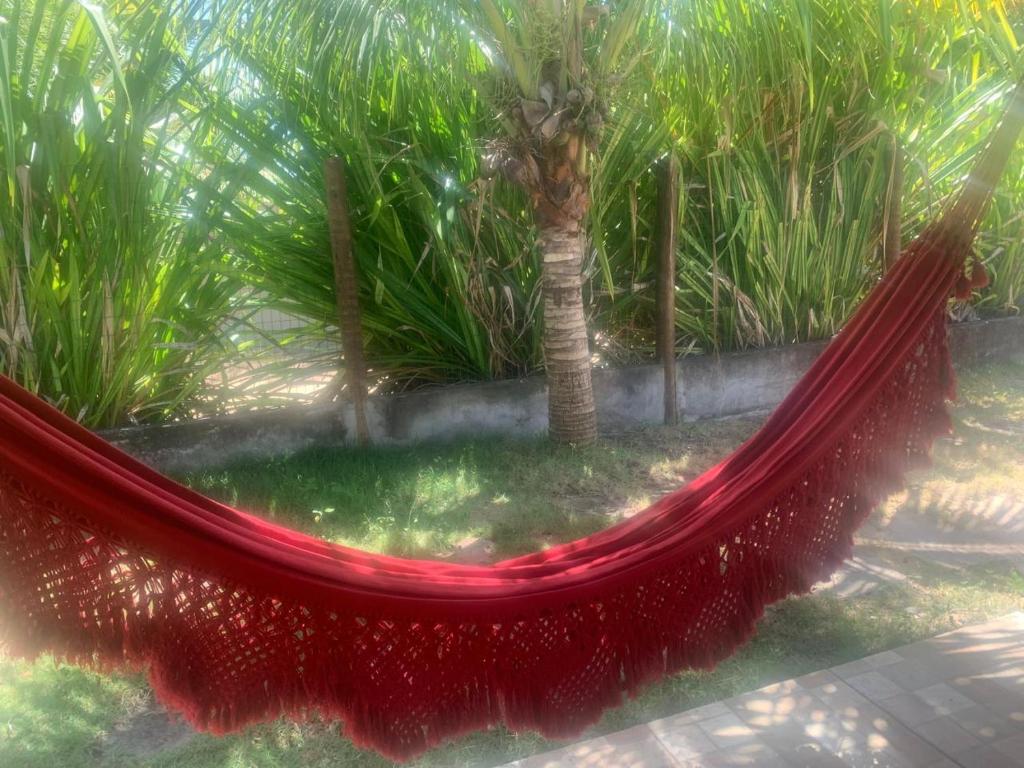 En have udenfor Casa na Praia de Saquaira - Península de Maraú.