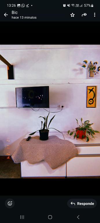 Una foto de una mesa con una planta. en Departamento katzen, en Alta Gracia