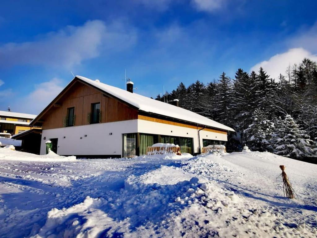 Villa in Cerny Dul near Ski Resort v zimě