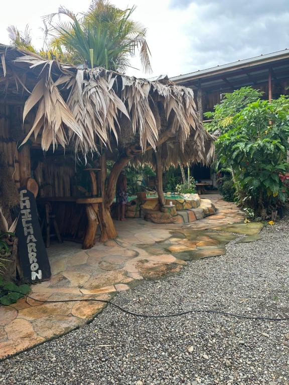 Zahrada ubytování Cahuita Vibe