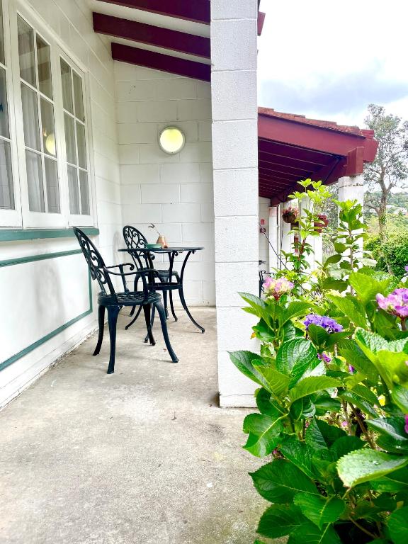 Zahrada ubytování Browns Bay Olive Tree - Pet Friendly Family Apartment