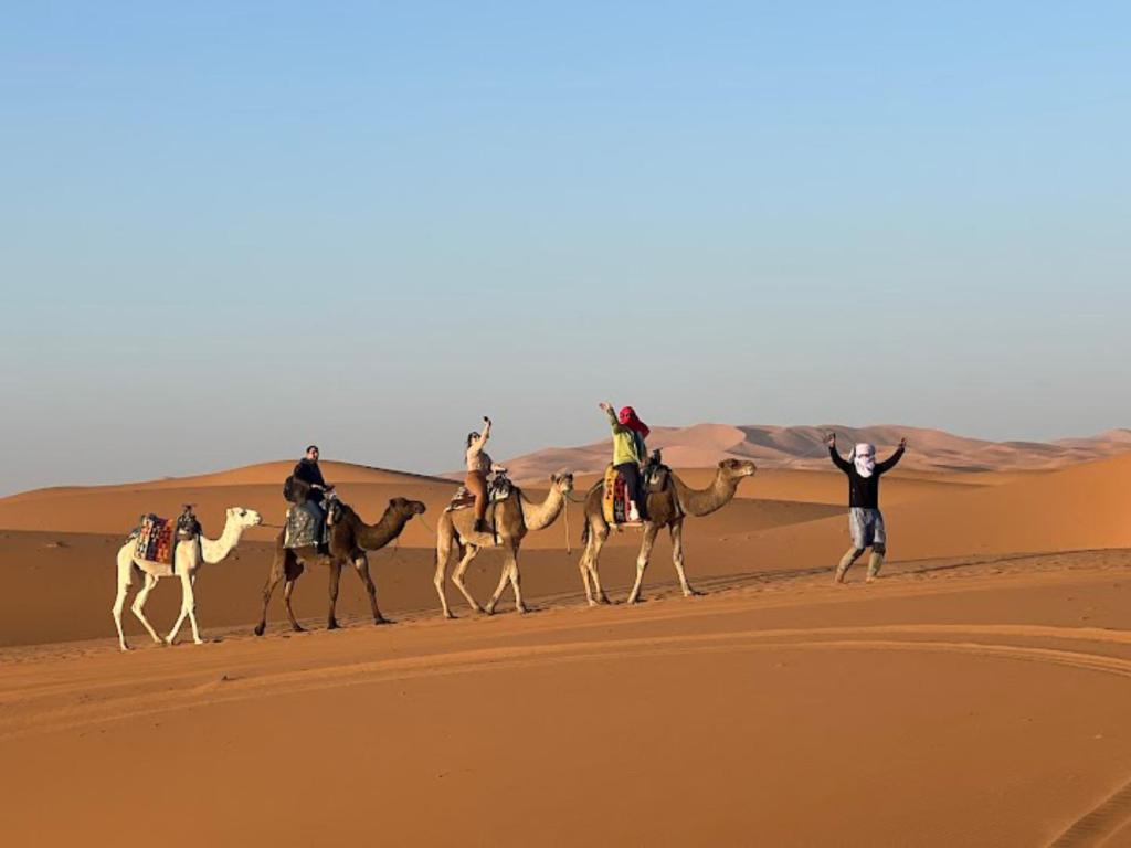 a group of people riding on camels in the desert at Merzouga Desert Campsite &Activities in Merzouga